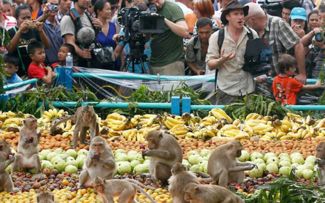 अजब-गजब : ये festival आपके भी उड़ा देंगे होश, कुतों की पूजा से लेकर मंकी बुफे औऱ भारत…